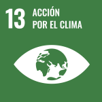 ODS 13 Cege Global y la sostenibilidad