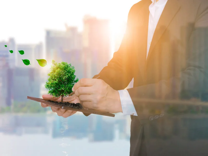 Digital transformation as a lever to improve sustainability