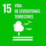 ODS-15-ecosistemas-sostenibilidad-CeGe