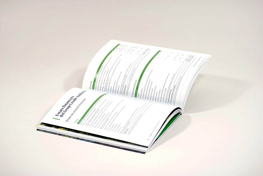 Informe anual impreso y digital CREAND CeGe