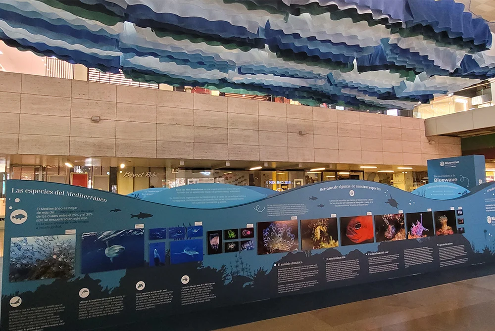 Proyecto de gran formato para ISDIN en un centro comercial, simulando el fondo marino con vinilos ondulados suspendidos del techo y paneles divulgativos.