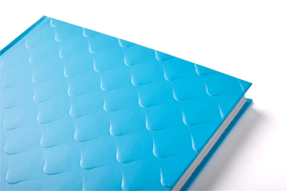 Plano detalle de la esquina superior del libro de arte Casa Batlló, resaltando el innovador relieve tridimensional sobre el material de la cubierta azul.