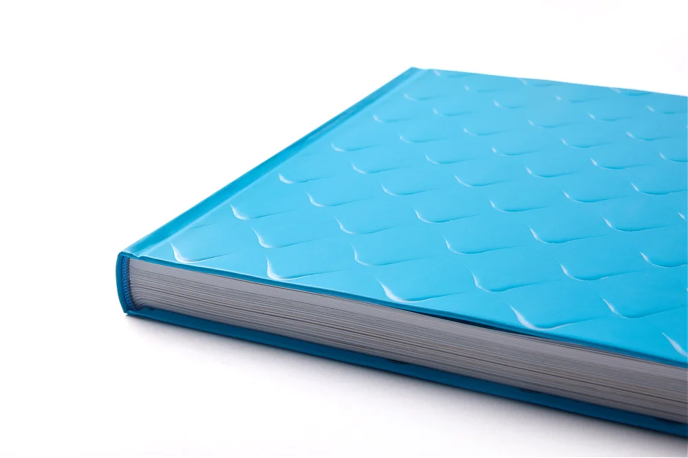 Vista lateral del libro de arte Casa Batlló que muestra el grosor de las 228 páginas y el acabado de la encuadernación de tapa dura.