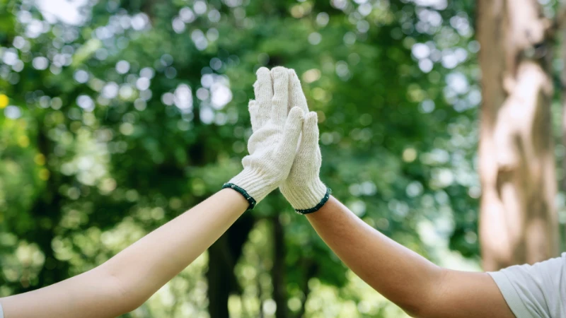Dos personas con guantes de trabajo blancos chocando las manos en un entorno natural arbolado, simbolizando la colaboración y ejecución de acciones sostenibles concretas.