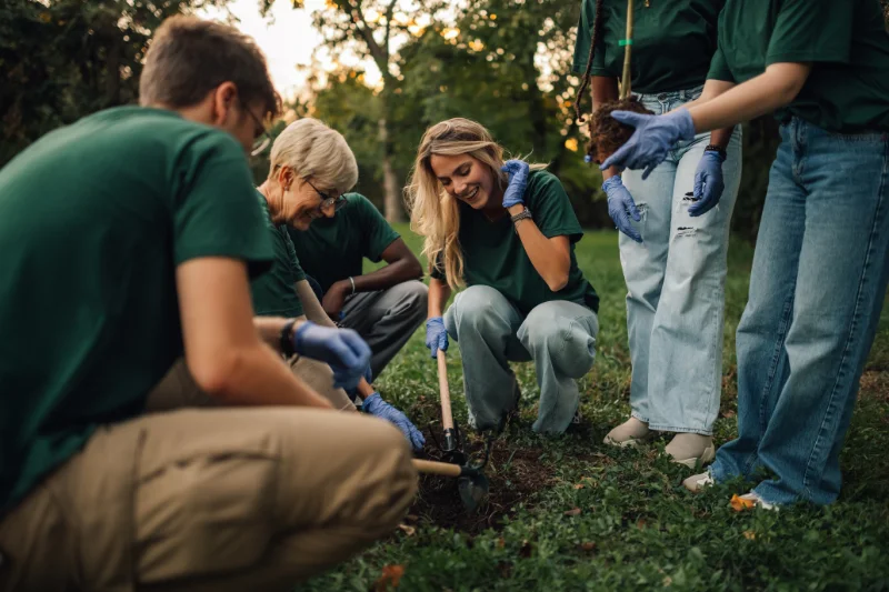 Grupo de personas de diferentes edades trabajando en equipo para plantar un árbol en el campo, aportando una visión real y tangible de la sostenibilidad.